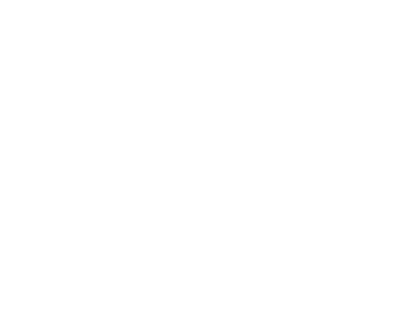 Mission Brasil